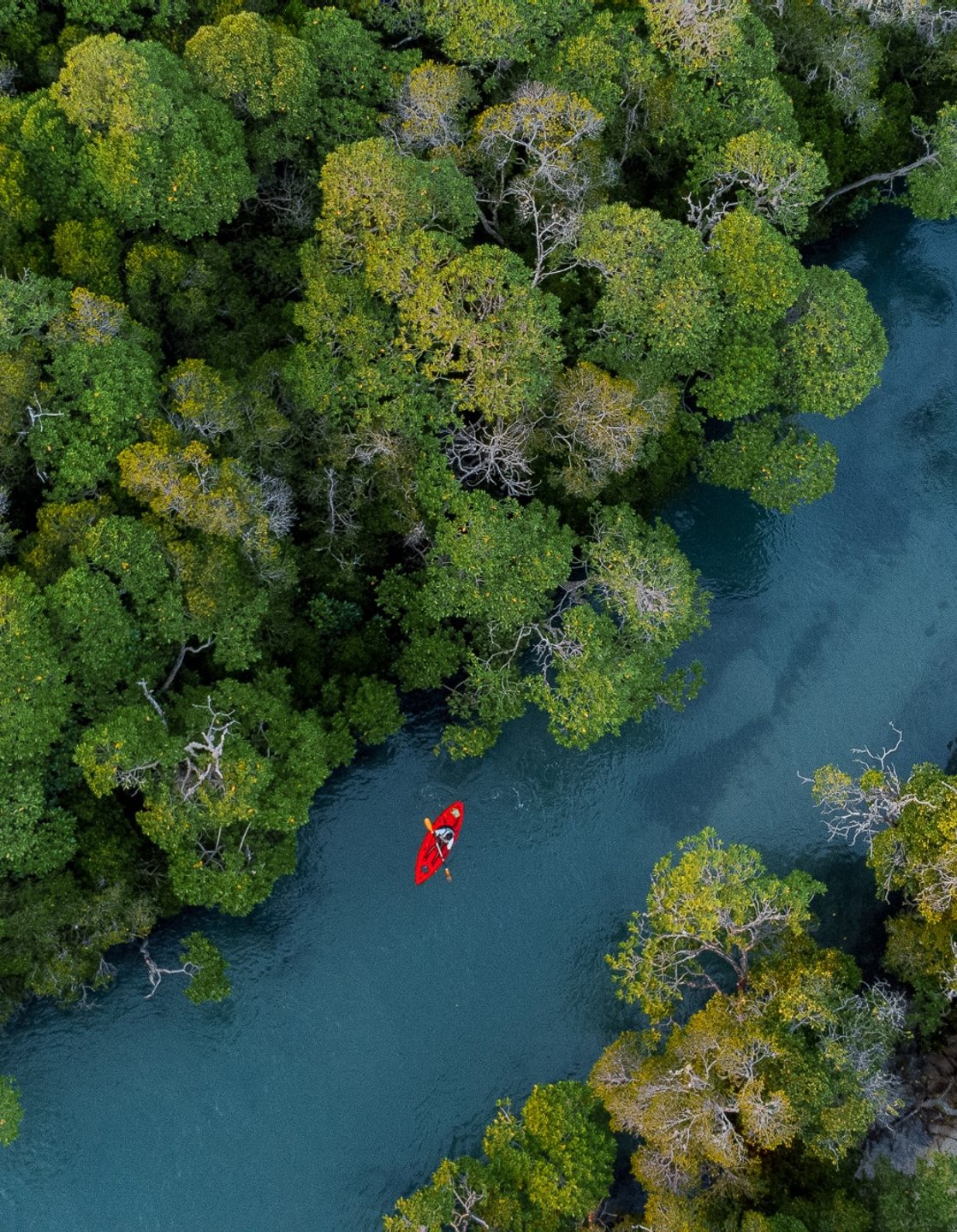three people on a paddle board during sunset