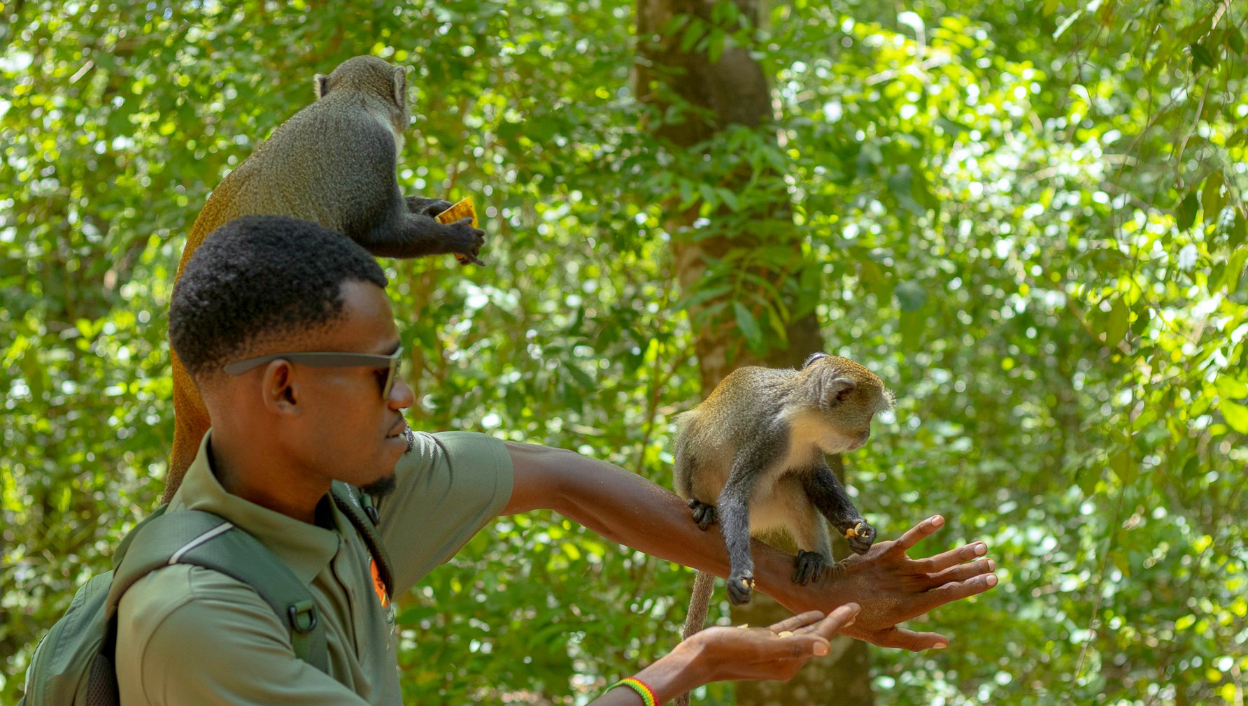 Kevin from Mkoko Explorers holding a monkey next to a tree