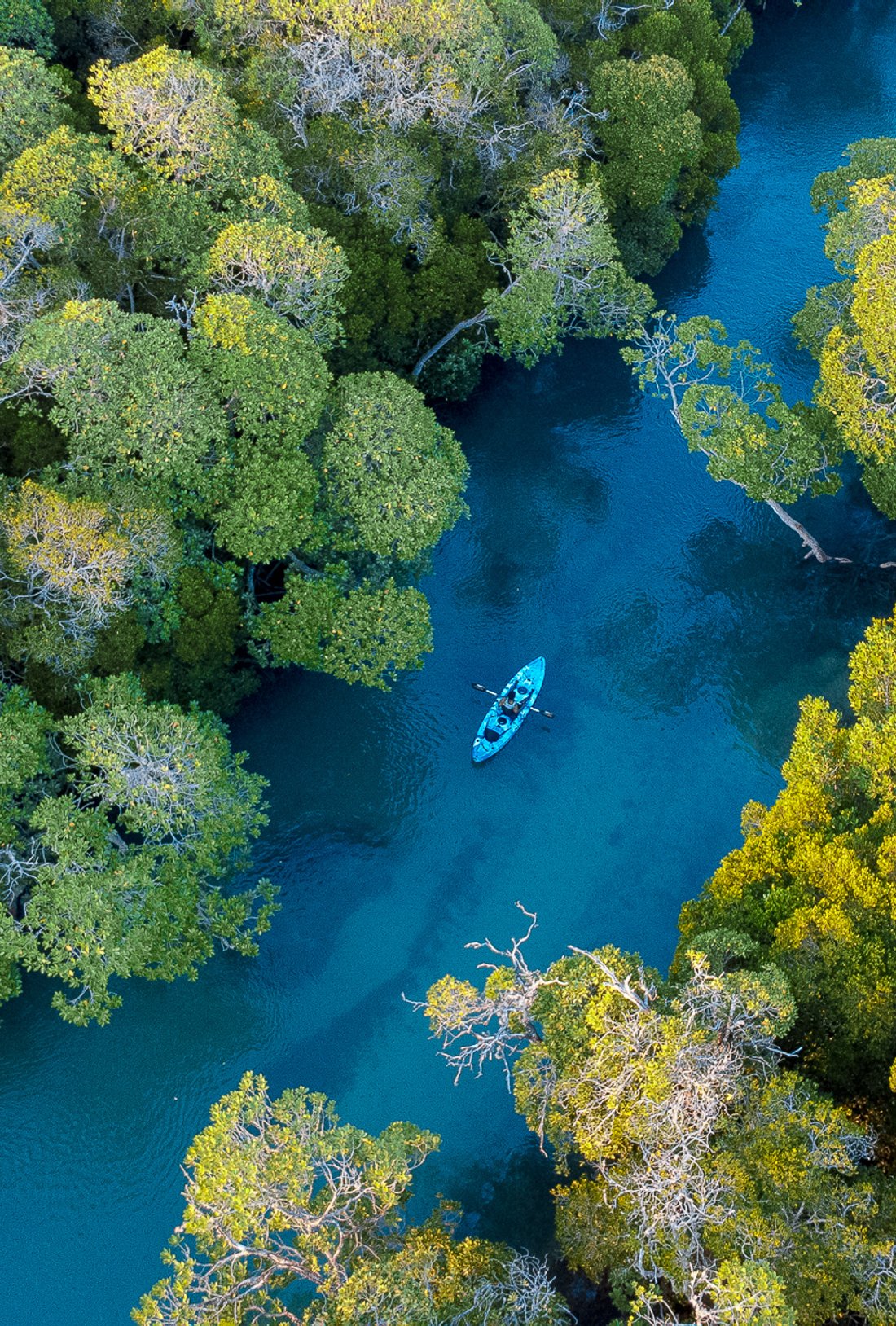 two kayaks rowing down the stream
