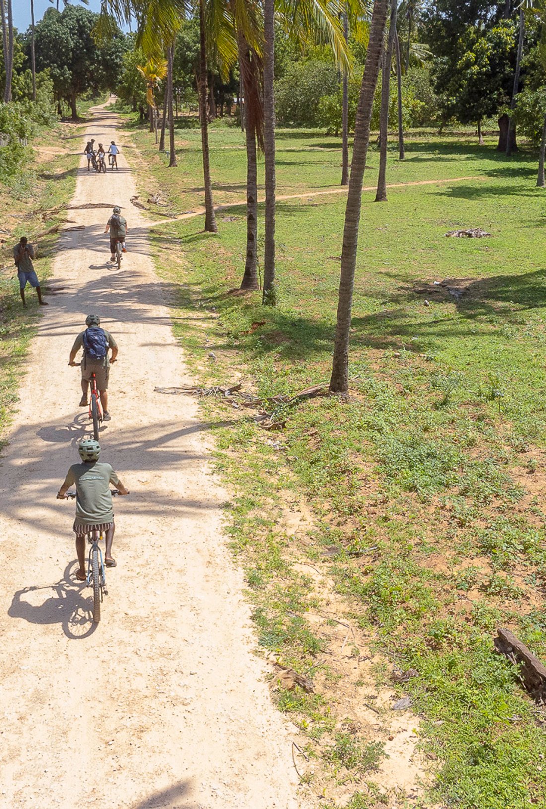 a group of explorers cycling through the mangroves
