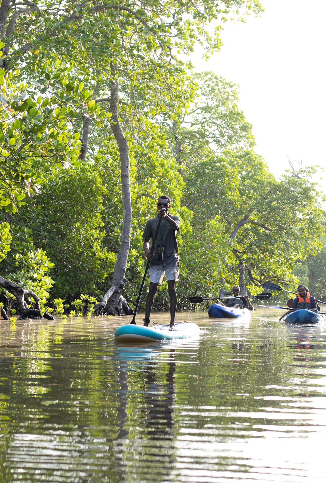 An explorer on a paddle board in the mangroves