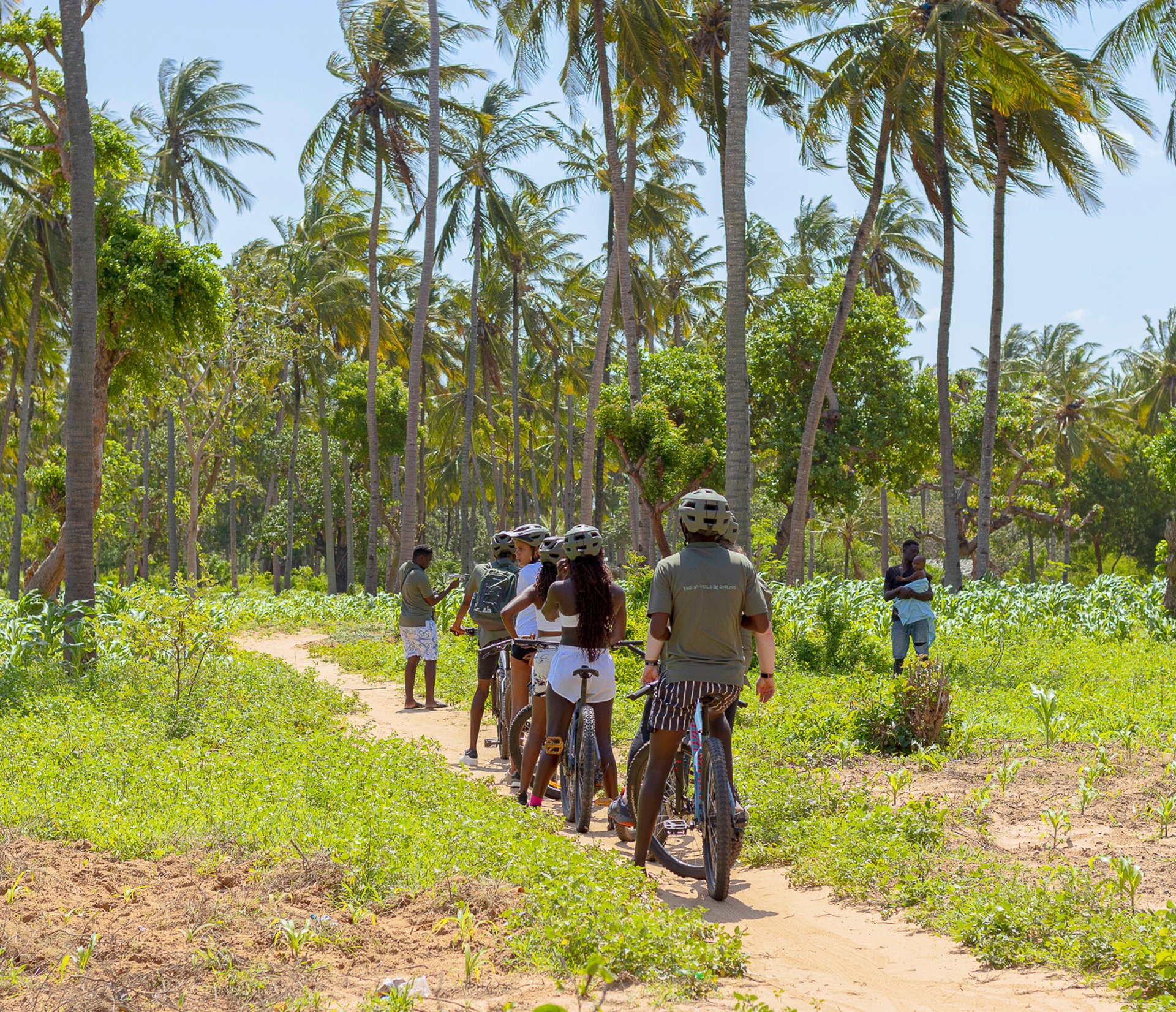 explorers cycling in the mangroves